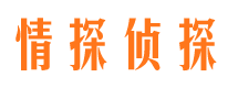 文县侦探公司